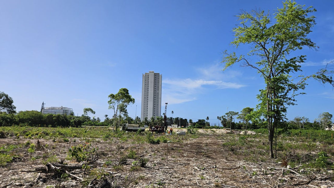 Proyecto de 15 Edificios
